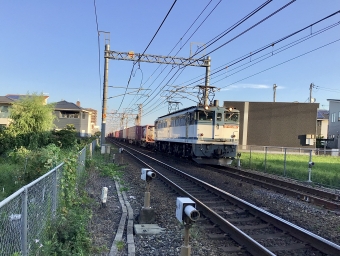 JR貨物 国鉄EF65形電気機関車 EF65-2117 鉄道フォト・写真 by てばどめさん 西明石駅：2021年07月27日05時ごろ