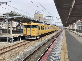 クハ111-2019 鉄道フォト・写真