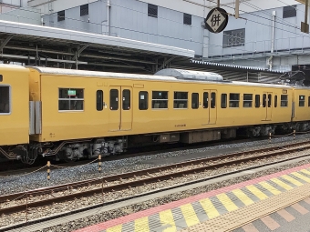 モハ113-7081 鉄道フォト・写真