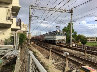 JR貨物 国鉄EF65形電気機関車 EF65-2117 鉄道フォト・写真 by てばどめさん 西明石駅：2021年07月18日17時ごろ