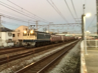 JR貨物 国鉄EF65形電気機関車 EF65-2068 鉄道フォト・写真 by てばどめさん 大蔵谷駅：2021年10月08日17時ごろ