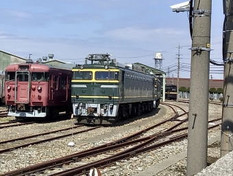 JR西日本 国鉄EF81形電気機関車 EF81-44 鉄道フォト・写真 by てばどめさん 松任駅：2022年04月03日12時ごろ