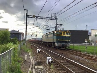 JR西日本 国鉄EF65形電気機関車 EF65-1124 鉄道フォト・写真 by てばどめさん 西明石駅：2021年07月18日17時ごろ