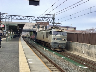 JR貨物 EF510形 EF510-509 鉄道フォト・写真 by てばどめさん 島本駅：2022年03月28日16時ごろ