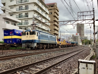 JR西日本 国鉄EF65形電気機関車 EF65-1133 鉄道フォト・写真 by てばどめさん 須磨寺駅：2021年09月02日16時ごろ