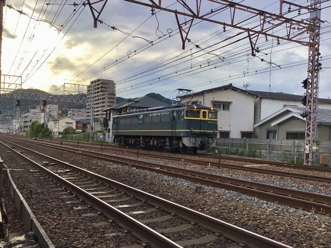 JR西日本 国鉄EF65形電気機関車 EF65-1124 鉄道フォト・写真 by てばどめさん 須磨寺駅：2021年09月05日17時ごろ