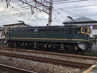 JR西日本 国鉄EF65形電気機関車 EF65-1124 鉄道フォト・写真 by てばどめさん 須磨寺駅：2021年09月05日17時ごろ