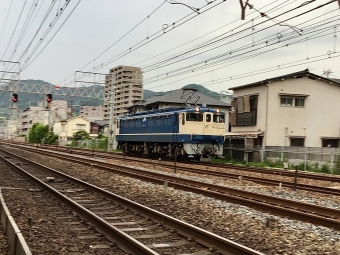 JR西日本 国鉄EF65形電気機関車 EF65-1132 鉄道フォト・写真 by てばどめさん 須磨寺駅：2021年06月28日17時ごろ