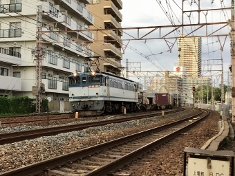 JR貨物 国鉄EF65形電気機関車 EF65-2057 鉄道フォト・写真 by てばどめさん 須磨寺駅：2021年06月25日18時ごろ