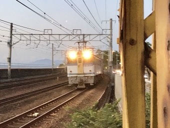 JR貨物 国鉄EF65形電気機関車 EF65-2127 鉄道フォト・写真 by てばどめさん 須磨浦公園駅：2021年11月03日06時ごろ