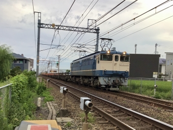 JR西日本 国鉄EF65形電気機関車 EF65-1128 鉄道フォト・写真 by てばどめさん 西明石駅：2021年09月10日17時ごろ