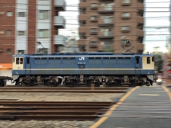 JR西日本 国鉄EF65形電気機関車 EF65-1133 鉄道フォト・写真 by てばどめさん 西明石駅：2021年09月03日17時ごろ