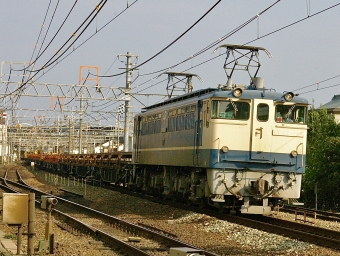 JR西日本 国鉄EF65形電気機関車 EF65-1128 鉄道フォト・写真 by てばどめさん 西明石駅：2021年08月02日16時ごろ
