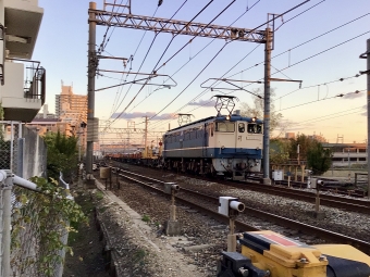 JR西日本 国鉄EF65形電気機関車 EF65-1133 鉄道フォト・写真 by てばどめさん 西明石駅：2021年11月28日16時ごろ