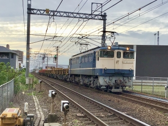 JR西日本 国鉄EF65形電気機関車 EF65-1128 鉄道フォト・写真 by てばどめさん 西明石駅：2021年06月19日17時ごろ