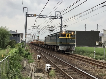 JR西日本 国鉄EF65形電気機関車 EF65-1124 鉄道フォト・写真 by てばどめさん 西明石駅：2021年09月01日17時ごろ