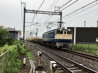 JR西日本 国鉄EF65形電気機関車 EF65-1132 鉄道フォト・写真 by てばどめさん 西明石駅：2021年08月17日17時ごろ