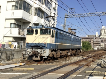JR西日本 国鉄EF65形電気機関車 EF65-1135 鉄道フォト・写真 by てばどめさん 西明石駅：2021年07月11日16時ごろ