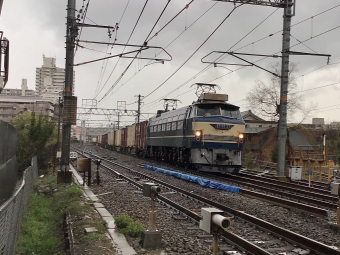 JR貨物 EF66形 EF66 27 鉄道フォト・写真 by てばどめさん 西明石駅：2022年03月18日16時ごろ