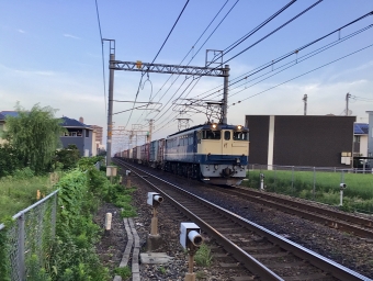 JR貨物 国鉄EF65形電気機関車 EF65-2101 鉄道フォト・写真 by てばどめさん 西明石駅：2021年08月27日05時ごろ