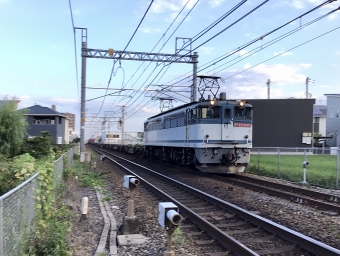 JR貨物 国鉄EF65形電気機関車 EF65-2085 鉄道フォト・写真 by てばどめさん 西明石駅：2021年07月26日05時ごろ
