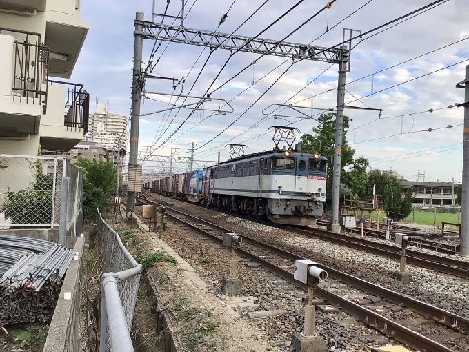 JR貨物 国鉄EF65形電気機関車 EF65-2085 鉄道フォト・写真 by てばどめさん 西明石駅：2021年07月29日17時ごろ