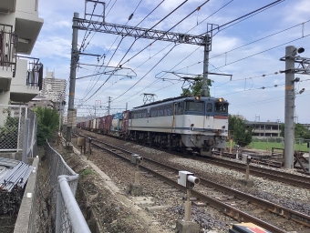 JR貨物 国鉄EF65形電気機関車 EF65-2138 鉄道フォト・写真 by てばどめさん 西明石駅：2021年07月10日17時ごろ