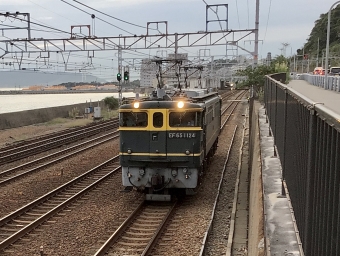 JR西日本 国鉄EF65形電気機関車 EF65-1124 鉄道フォト・写真 by てばどめさん 塩屋駅 (兵庫県)：2021年09月28日17時ごろ