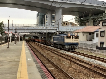 JR西日本 国鉄EF65形電気機関車 EF65-1128 鉄道フォト・写真 by てばどめさん 舞子駅：2021年05月11日17時ごろ