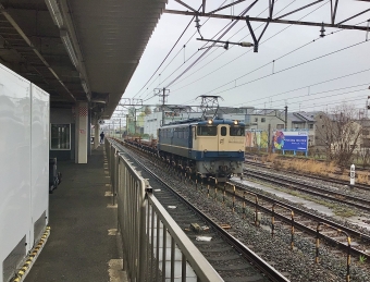 JR西日本 国鉄EF65形電気機関車 EF65-1133 鉄道フォト・写真 by てばどめさん 向日町駅：2022年03月26日14時ごろ
