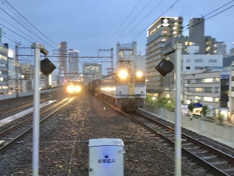 JR貨物 国鉄EF65形電気機関車 EF65-2127 鉄道フォト・写真 by てばどめさん 元町駅 (兵庫県|JR)：2021年10月25日17時ごろ