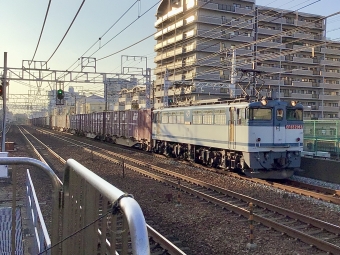 JR貨物 国鉄EF65形電気機関車 EF65-2063 鉄道フォト・写真 by てばどめさん 垂水駅：2021年11月20日15時ごろ