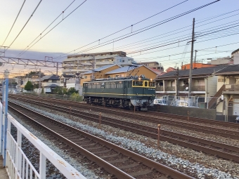 JR西日本 国鉄EF65形電気機関車 EF65-1124 鉄道フォト・写真 by てばどめさん 大蔵谷駅：2021年10月27日16時ごろ