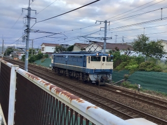 JR西日本 国鉄EF65形電気機関車 EF65-1133 鉄道フォト・写真 by てばどめさん 大久保駅 (兵庫県)：2021年10月13日16時ごろ