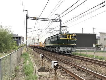 JR西日本 国鉄EF65形電気機関車 EF65-1124 鉄道フォト・写真 by てばどめさん 西明石駅：2022年04月23日17時ごろ