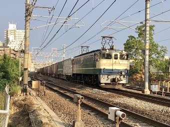 JR貨物 国鉄EF65形電気機関車 EF65-2101 鉄道フォト・写真 by てばどめさん 西明石駅：2022年05月17日17時ごろ