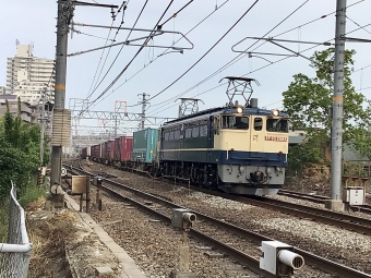 JR貨物 国鉄EF65形電気機関車 EF65-2085 鉄道フォト・写真 by てばどめさん 西明石駅：2022年05月16日17時ごろ