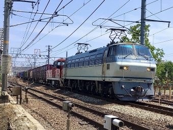 JR貨物 国鉄EF66形電気機関車 EF66 130 鉄道フォト・写真 by てばどめさん 西明石駅：2022年05月22日13時ごろ
