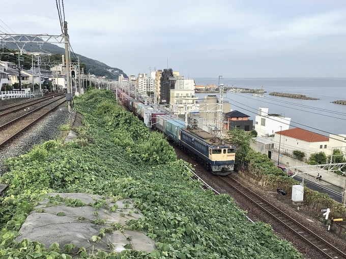 JR貨物 国鉄EF65形電気機関車 EF65-2083 鉄道フォト・写真 by てばどめさん 滝の茶屋駅：2022年06月25日17時ごろ