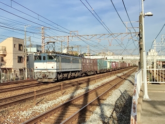 JR貨物 国鉄EF65形電気機関車 EF65-2060 鉄道フォト・写真 by てばどめさん 大蔵谷駅：2022年08月02日17時ごろ