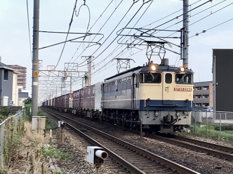 JR貨物 国鉄EF65形電気機関車 EF65-2090 鉄道フォト・写真 by てばどめさん 西明石駅：2022年07月21日05時ごろ