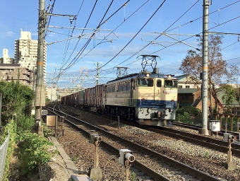 JR貨物 国鉄EF65形電気機関車 EF65-2080 鉄道フォト・写真 by てばどめさん 西明石駅：2022年07月31日17時ごろ