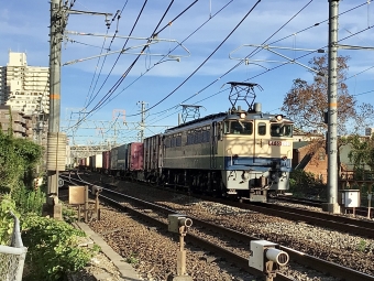 JR貨物 国鉄EF65形電気機関車 EF65-2091 鉄道フォト・写真 by てばどめさん 西明石駅：2022年08月01日17時ごろ