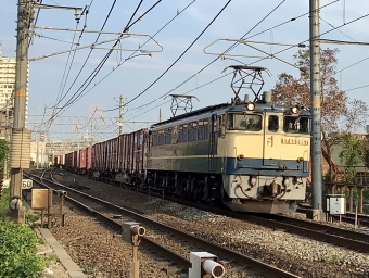 JR貨物 国鉄EF65形電気機関車 EF65-2067 鉄道フォト・写真 by てばどめさん 西明石駅：2022年07月25日17時ごろ