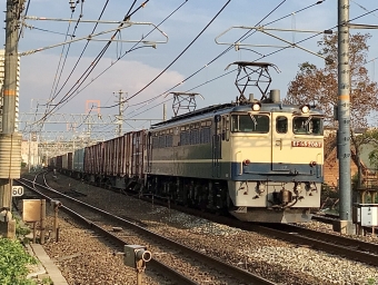 JR貨物 国鉄EF65形電気機関車 EF65-2087 鉄道フォト・写真 by てばどめさん 西明石駅：2022年07月26日17時ごろ