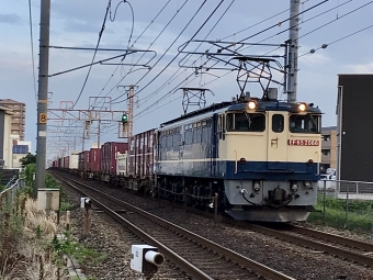 JR貨物 国鉄EF65形電気機関車 EF65-2066 鉄道フォト・写真 by てばどめさん 西明石駅：2022年08月05日05時ごろ