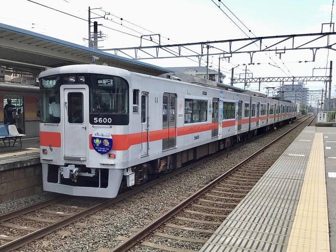 山陽電車クハ5600形 5600 鉄道フォト・写真 by てばどめさん 藤江駅：2022年07月06日07時ごろ