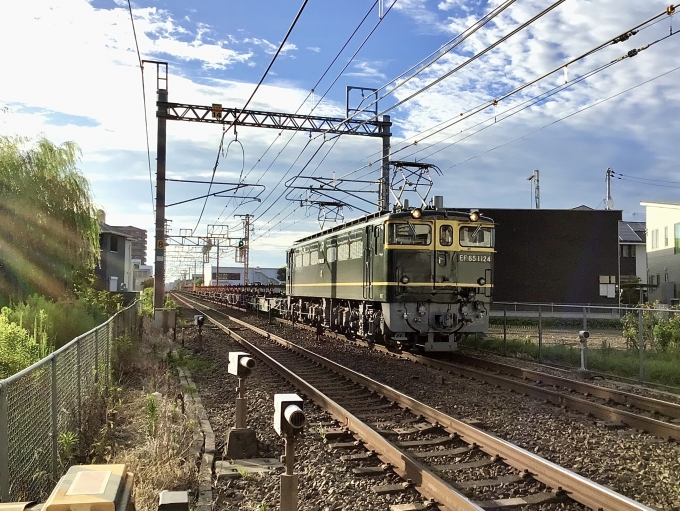 JR西日本 国鉄EF65形電気機関車 EF65-1124 鉄道フォト・写真 by てばどめさん 西明石駅：2022年07月31日17時ごろ