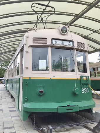 京都市電800型 鉄道フォト・写真