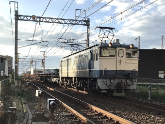 JR西日本 国鉄EF65形電気機関車 EF65-1128 鉄道フォト・写真 by てばどめさん 西明石駅：2022年08月21日17時ごろ